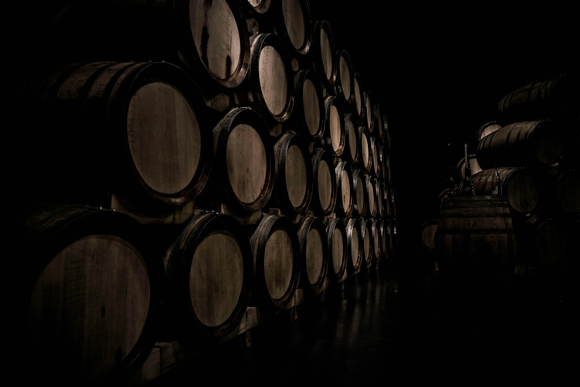 sudy, vino, pivnica