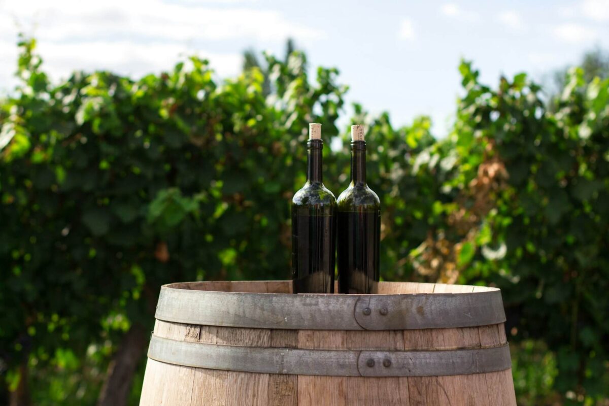 vino, sudy, vinohrady