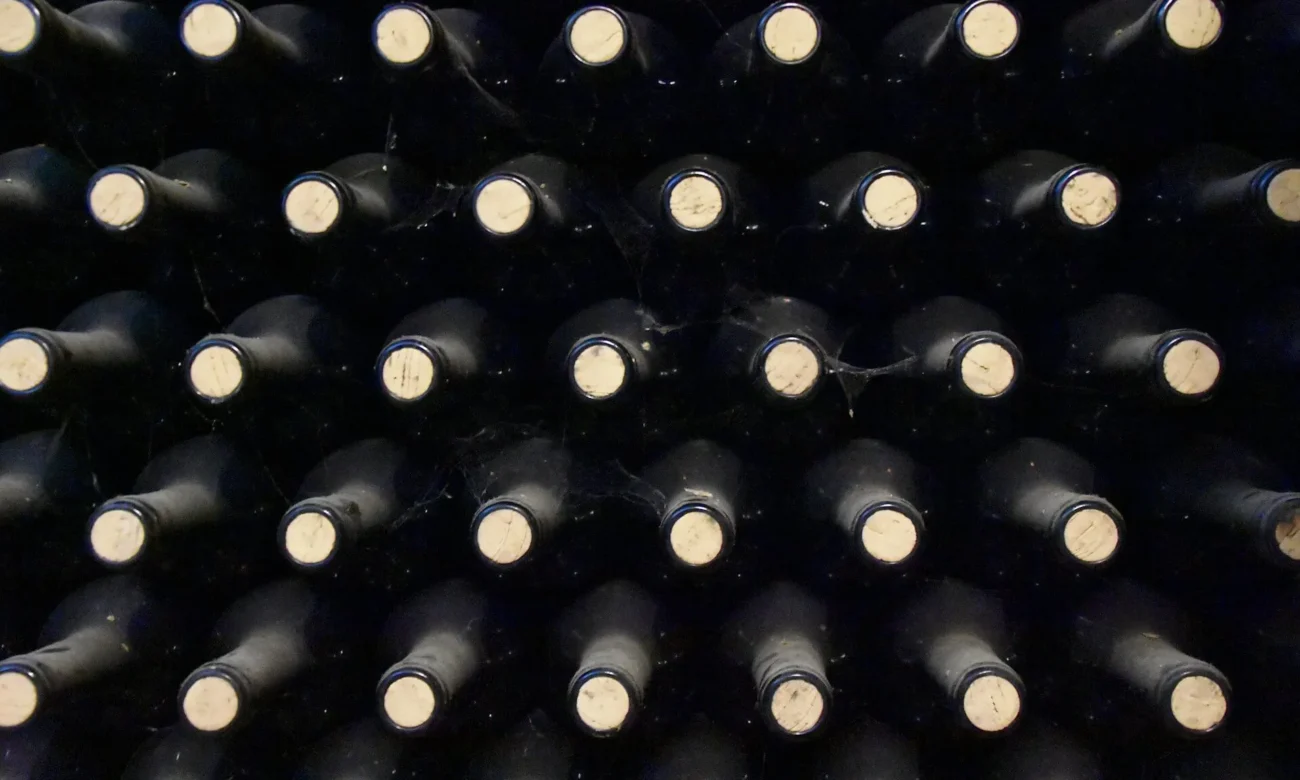 fľaše vína v pivinici