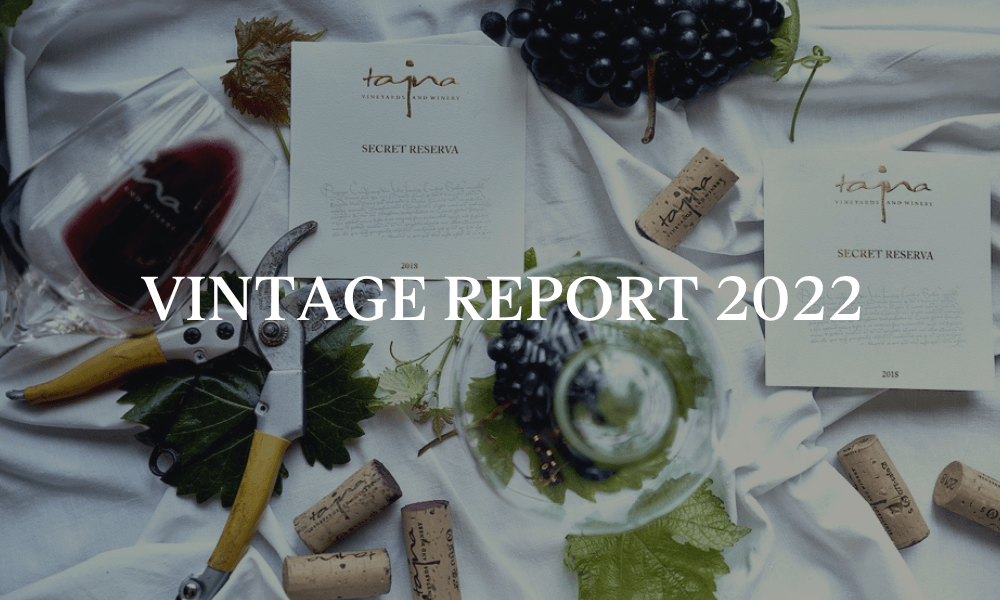 vintage report vinarstvo tajna