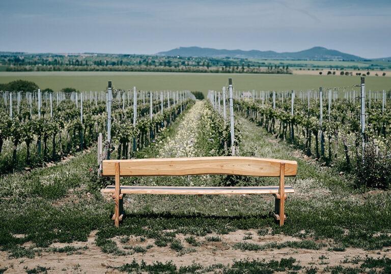 Vinárstvo TAJNA blog