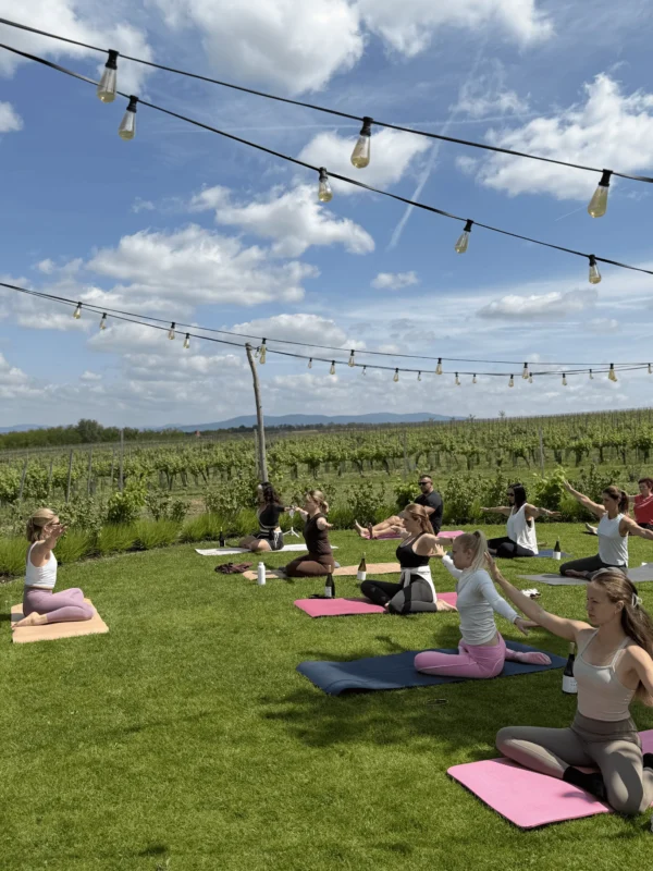 Pilates & Sip Brunch vol.2